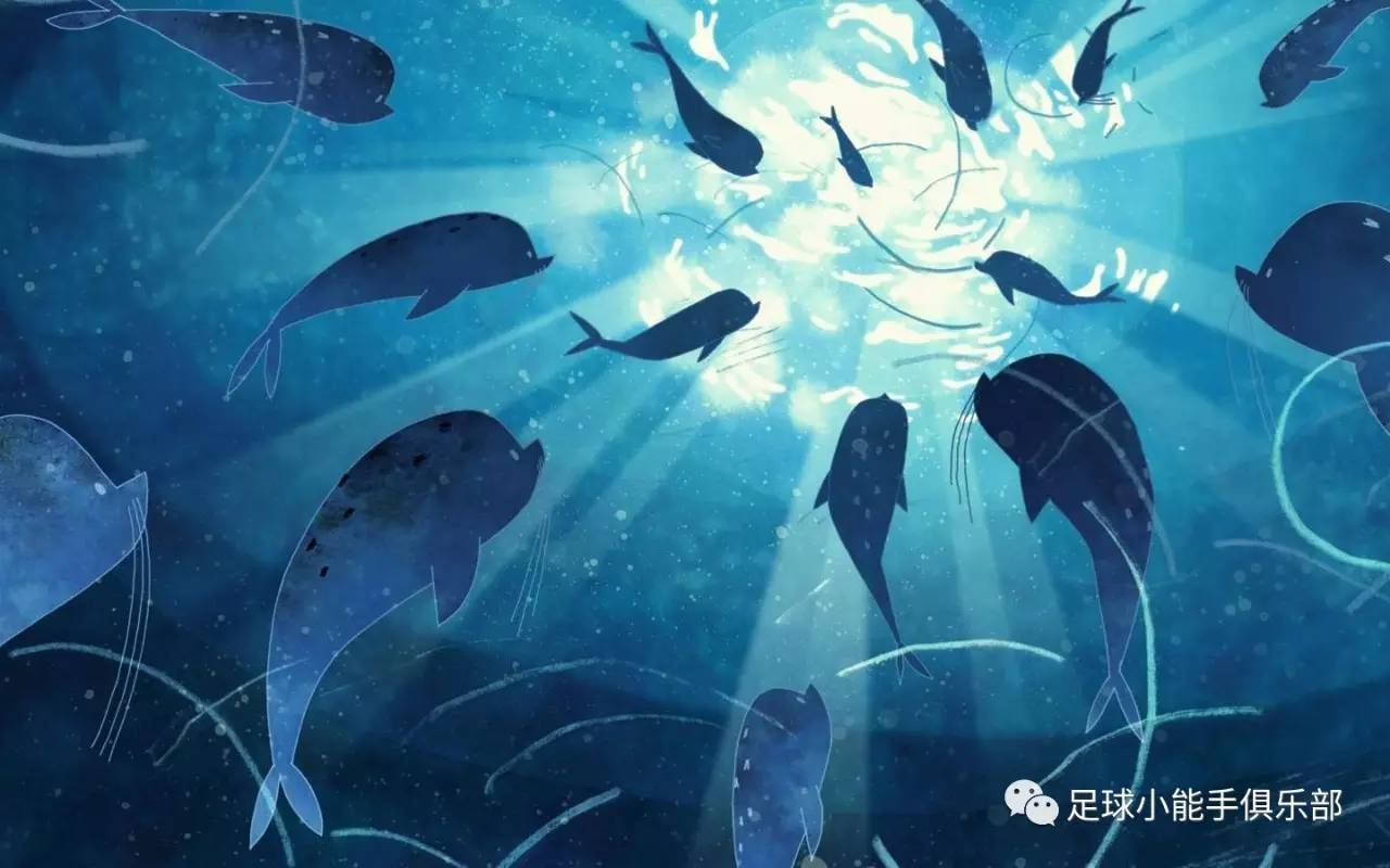 1赔224！揭秘孤岛文化在足球足彩界的连锁效应